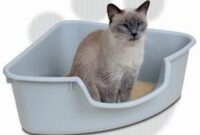 Jenis-Toilet-Untuk-Kucing