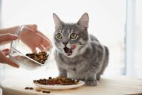 Cara-Agar-Kucing-Lahap-Makan
