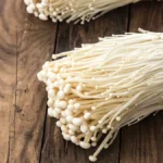 budidaya jamur enoki