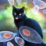 virus tokso