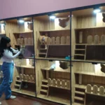 membeli kucing