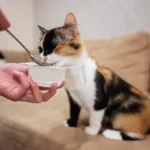 vitamin c