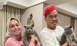 Kucing