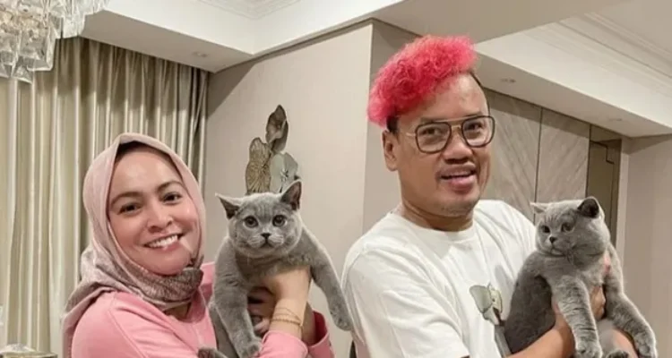Kucing