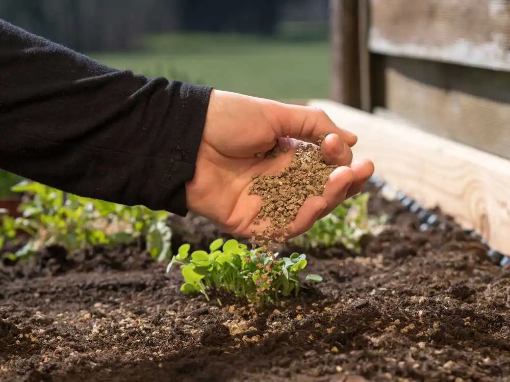 Biofertilizer Pupuk Ramah Lingkungan Generasi Baru