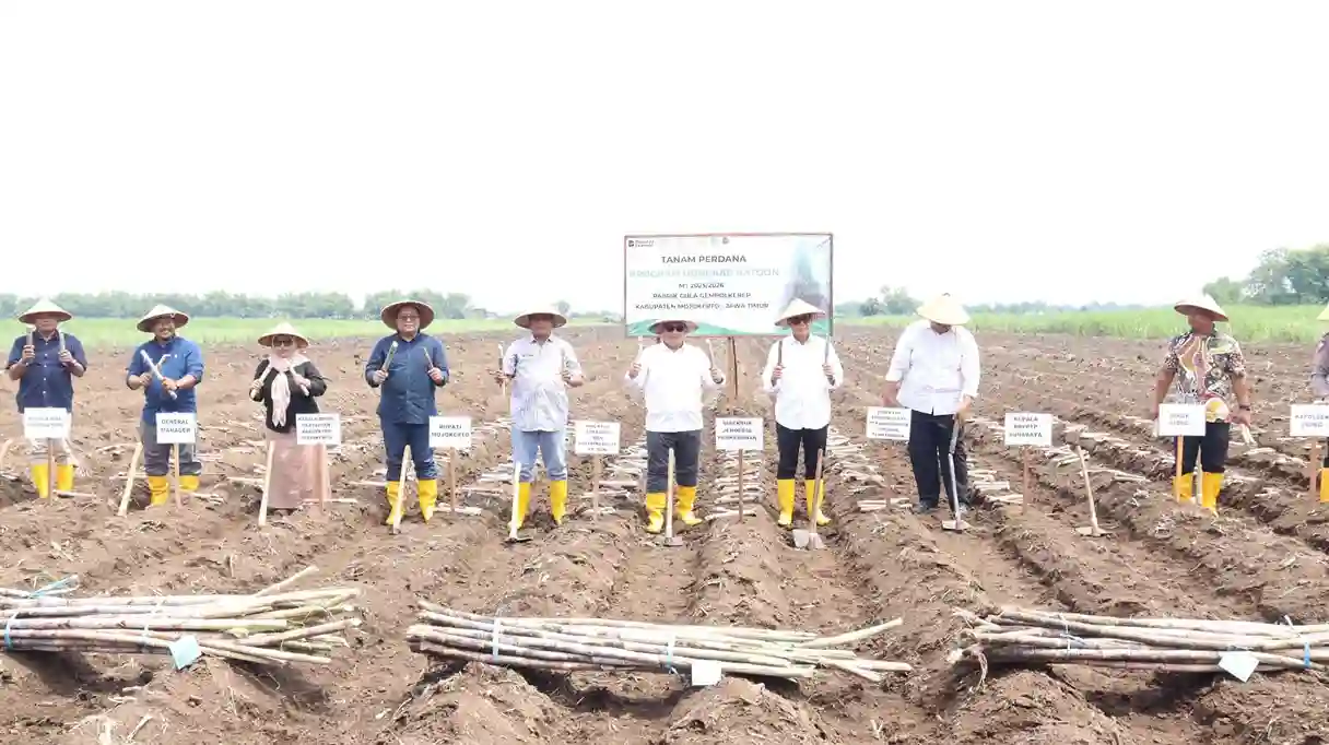 Perkebunan 2025 dan Strategi Hilirisasi Produk