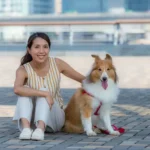 Tren Anjing Peliharaan 2025 yang Banyak Diminati Pecinta Hewan