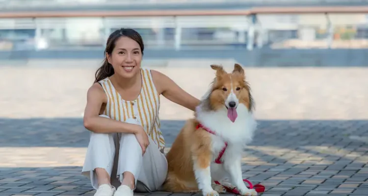 Tren Anjing Peliharaan 2025 yang Banyak Diminati Pecinta Hewan