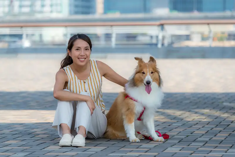 Tren Anjing Peliharaan 2025 yang Banyak Diminati Pecinta Hewan
