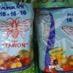 Pupuk Cabai Terbaik untuk Hasil Panen yang Melimpah dan Berkualitas