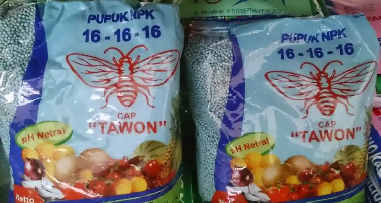 Pupuk Cabai Terbaik untuk Hasil Panen yang Melimpah dan Berkualitas