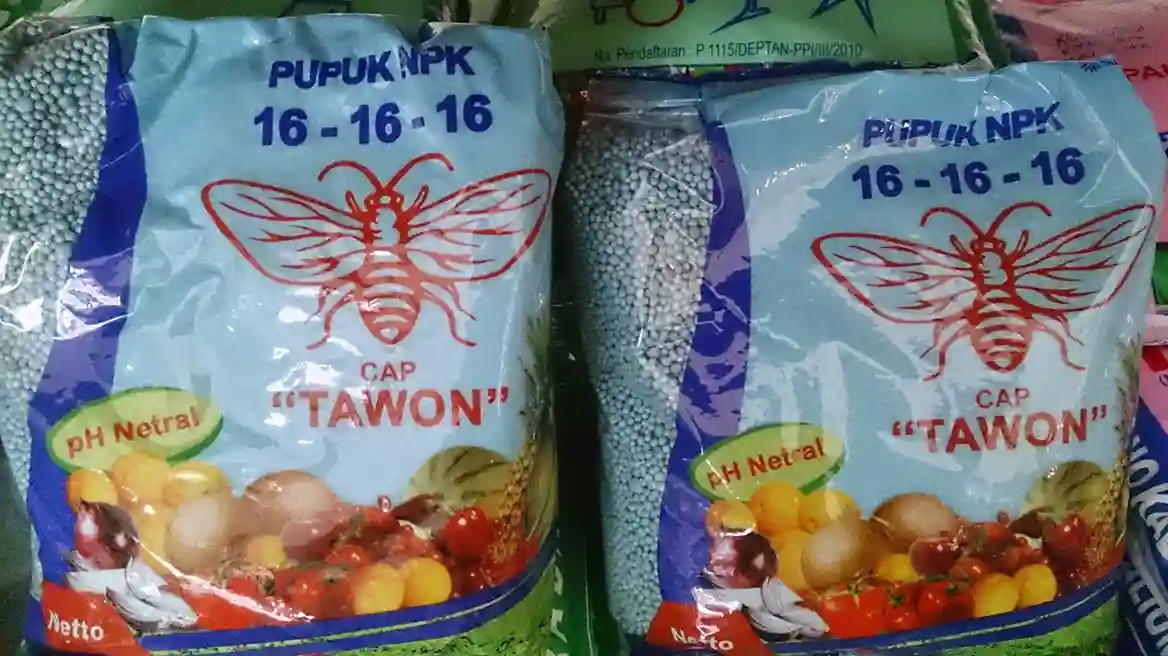 Pupuk Cabai Terbaik untuk Hasil Panen yang Melimpah dan Berkualitas