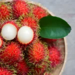 Perkebunan Rambutan, Peluang Manis dari Buah Tropis yang Selalu Dicari