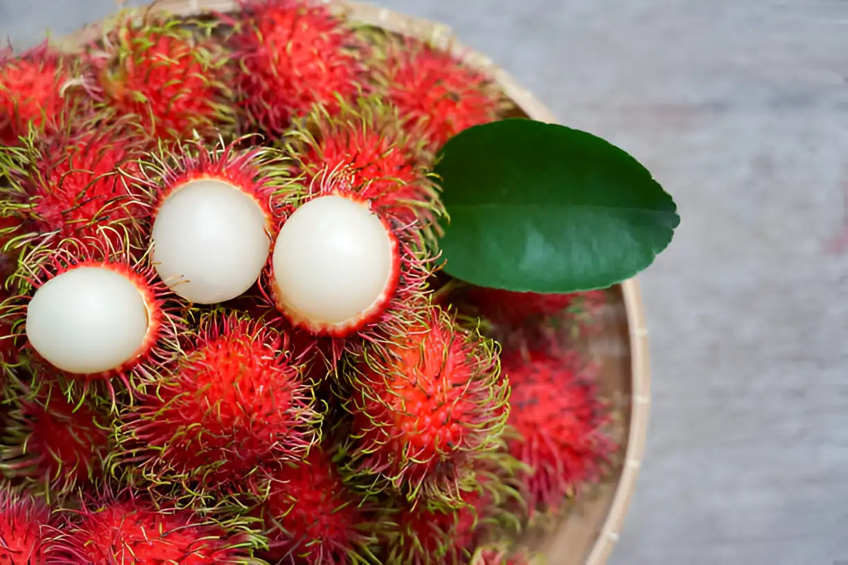 Perkebunan Rambutan, Peluang Manis dari Buah Tropis yang Selalu Dicari