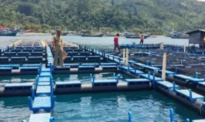 Ihan Batak, Ikan Bernilai Tinggi yang Mulai Dilirik untuk Dibudidayakan