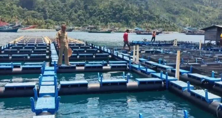 Ihan Batak, Ikan Bernilai Tinggi yang Mulai Dilirik untuk Dibudidayakan