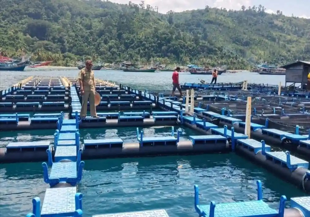 Ihan Batak, Ikan Bernilai Tinggi yang Mulai Dilirik untuk Dibudidayakan