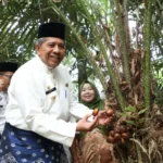Kebun Salak, Dari Rumpun Berduri Jadi Wisata Buah yang Menghidupi Warga