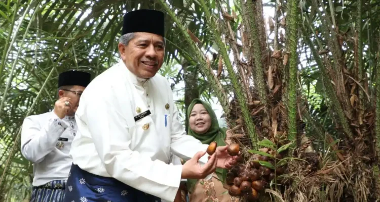 Kebun Salak, Dari Rumpun Berduri Jadi Wisata Buah yang Menghidupi Warga