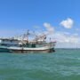Laut